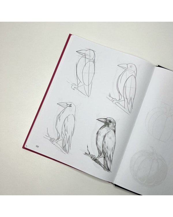 Суперкурс по рисованию. Простые зарисовки