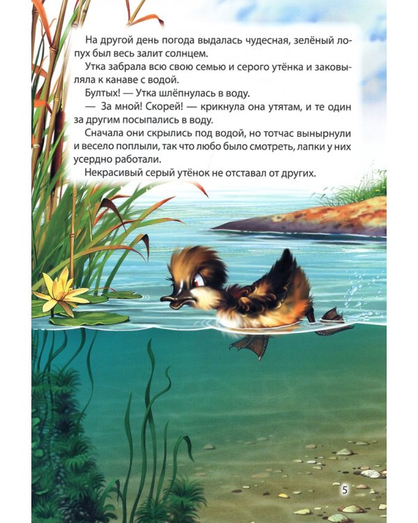 Гадкий утенок