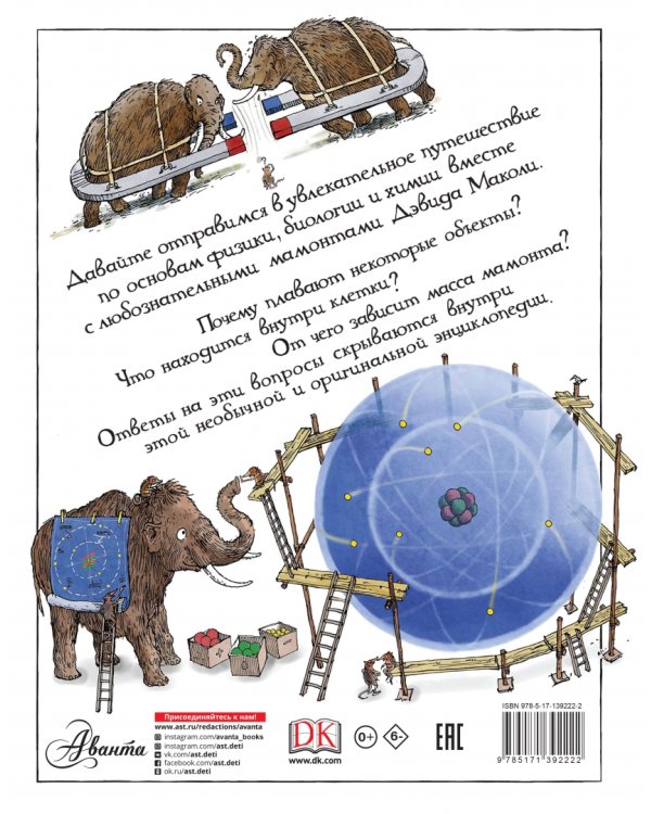 Как все устроено