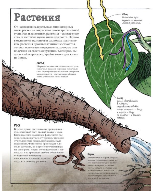 Как все устроено