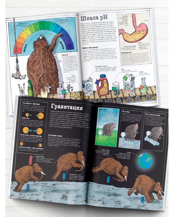 Как все устроено