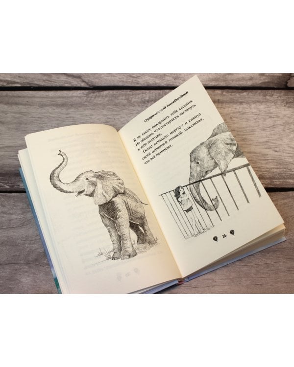 Озадаченный пингвинёнок 