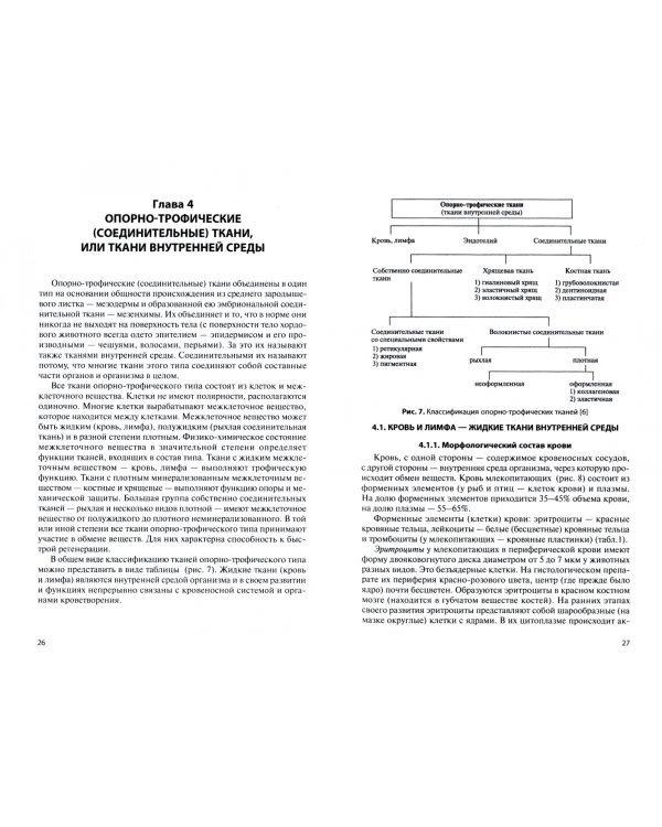 Морфология мясопромышленных животных (анатомия и гистология)