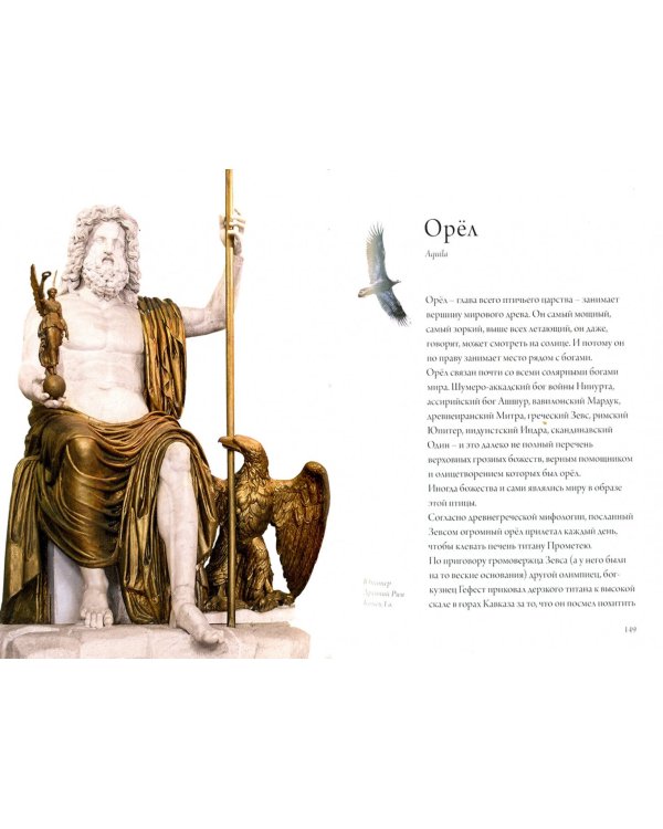 Птица по имени...