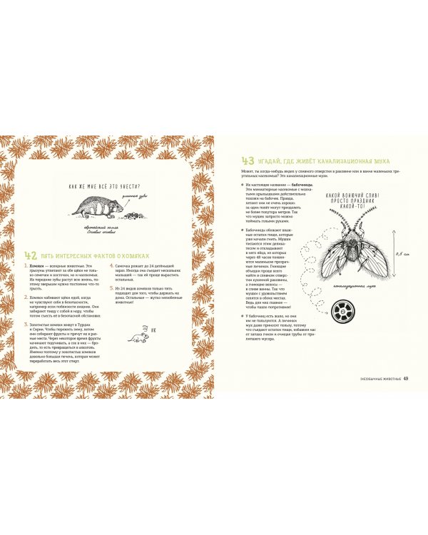 Может ли лошадь решать уравнения? И ещё 320 вопросов о животных