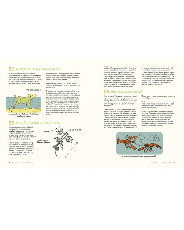 Может ли лошадь решать уравнения? И ещё 320 вопросов о животных