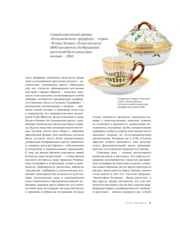Flora Georgica.Гербарий на фарфоре