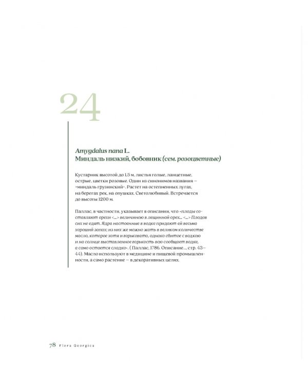 Flora Georgica.Гербарий на фарфоре