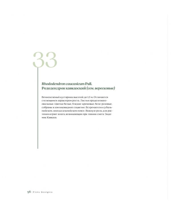 Flora Georgica.Гербарий на фарфоре