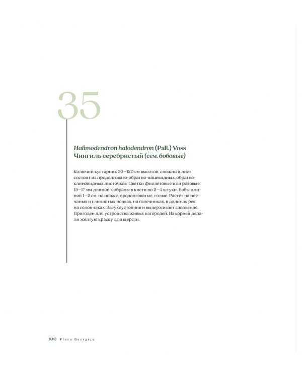 Flora Georgica.Гербарий на фарфоре