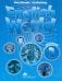 English World 2. Workbook