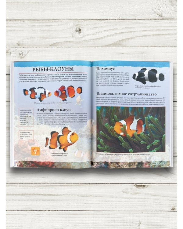 Подводный мир