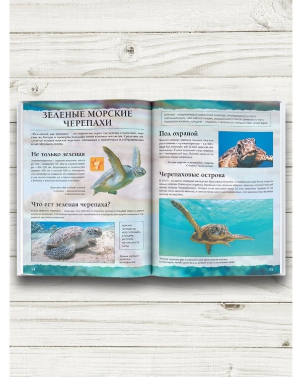 Подводный мир