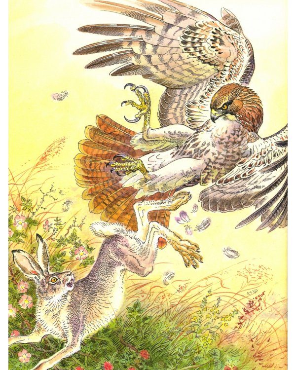 Животные-герои