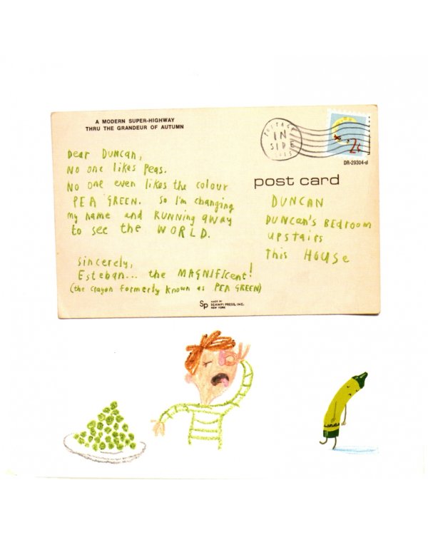 The Day the Crayons Came Home. Board Book