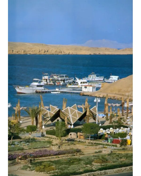 Синай и Красное море. Шарм-Эль-Шейх. Монастырь святой Екатерины. Оазис Фейран