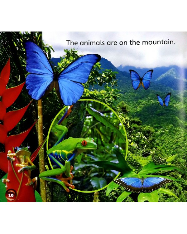 Our World 1: Big Rdr - Where are the Animals? (BrE)