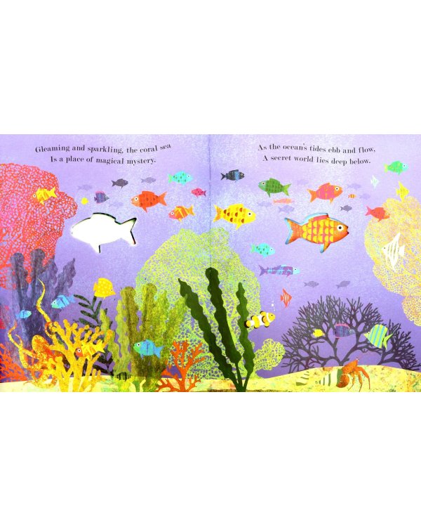 Sea. A World Beneath the Waves