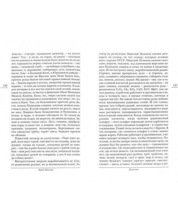 Двойники. Одиннадцать глав классического повествования
