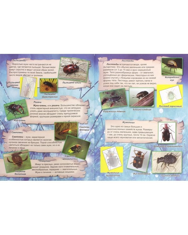 Удивительный мир насекомых