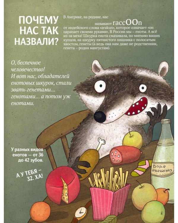 Чем хороши еноты