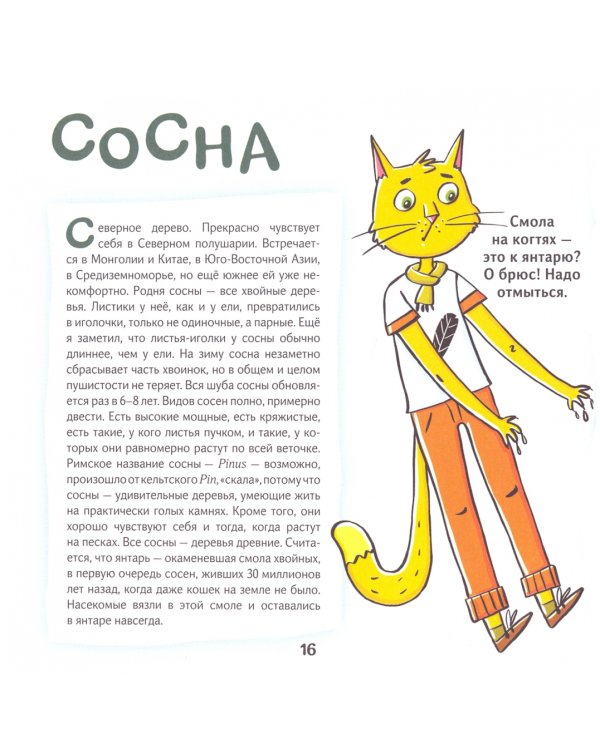 Кот Брюс и городские деревья