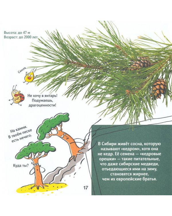 Кот Брюс и городские деревья