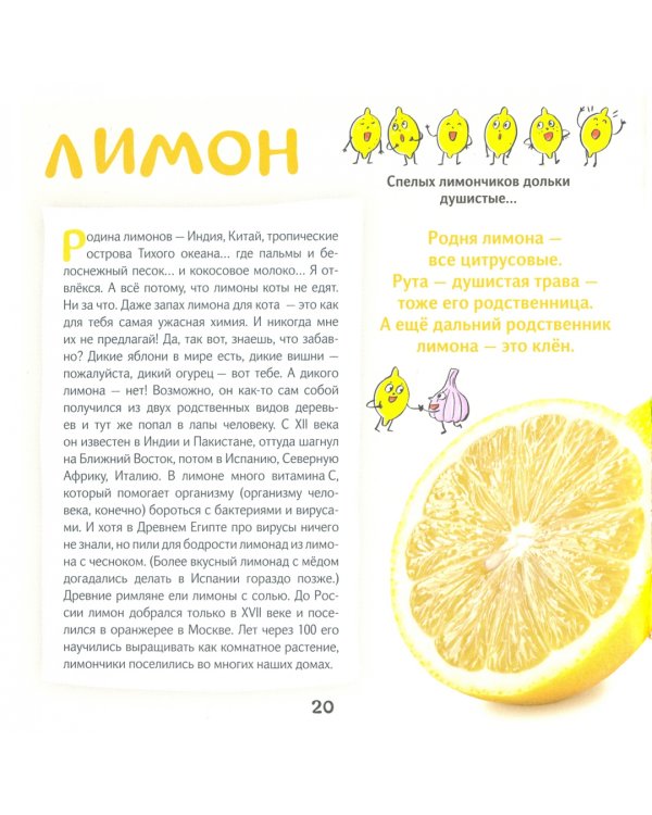 Кот Брюс и фрукты-овощи