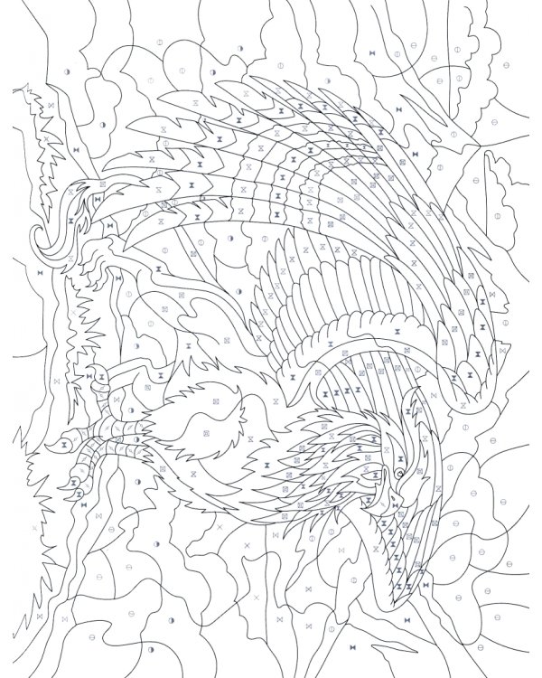 Волшебные птицы. Раскраска