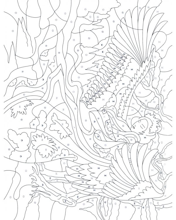 Волшебные птицы. Раскраска