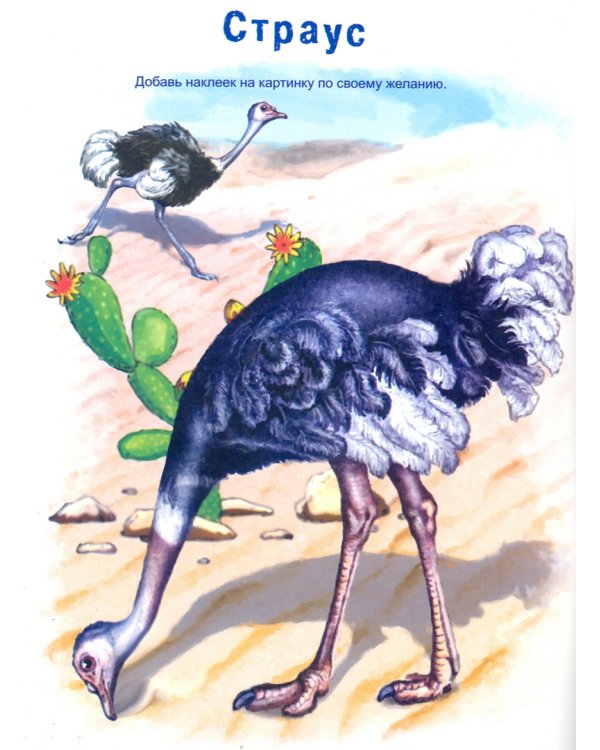 Конструктор. Птички (книжка с многоразовыми наклейками)