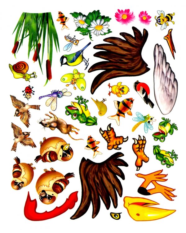 Конструктор. Птички (книжка с многоразовыми наклейками)