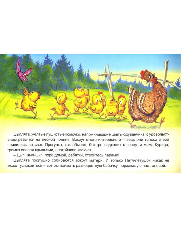 Пропал Петя-петушок