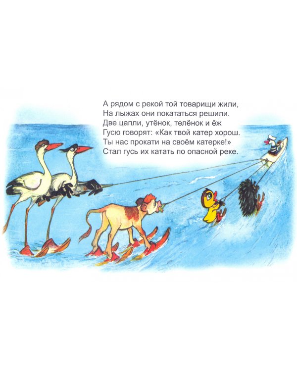 Сердитая рыба