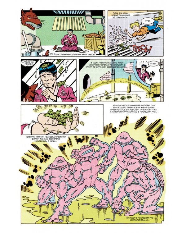 Черепашки-Ниндзя: Приключения. Книга 1-2. Герои в панцирях. Возвращение Шреддера