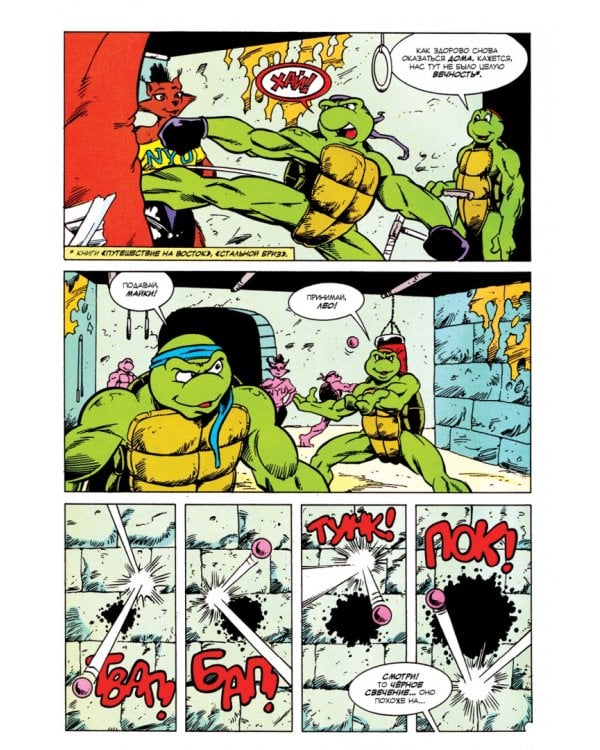 Приключения Черепашек-Ниндзя. Том 11. Будущее время