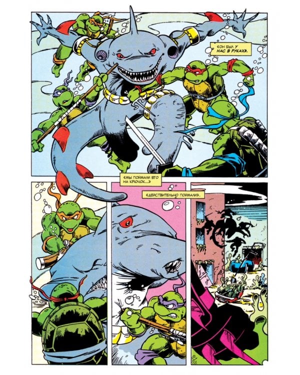 Приключения Черепашек-Ниндзя. Том 11. Будущее время