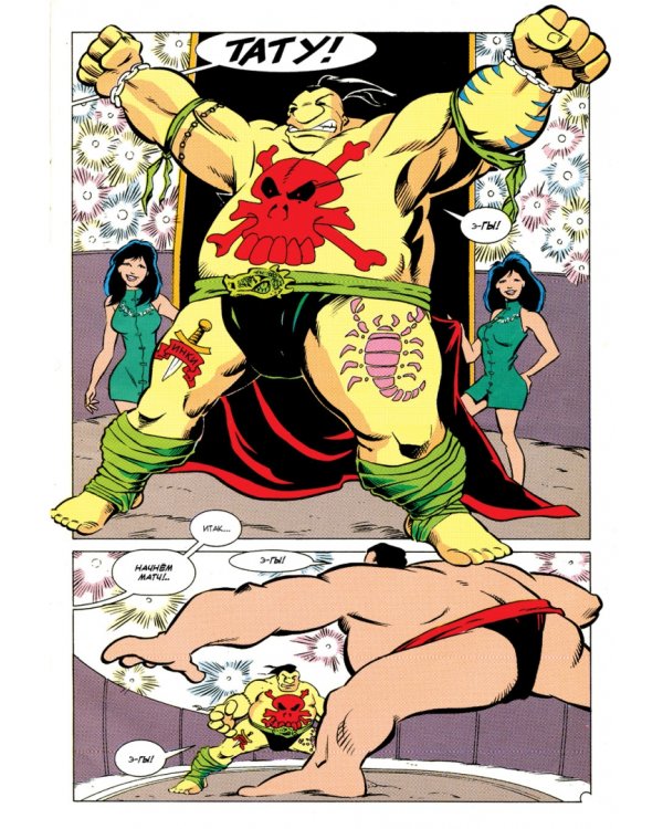 Приключения Черепашек-Ниндзя. Том 9. Чёрный камень