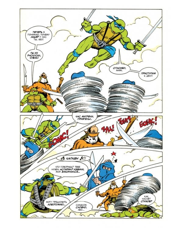 Приключения Черепашек-Ниндзя. Том 9. Чёрный камень