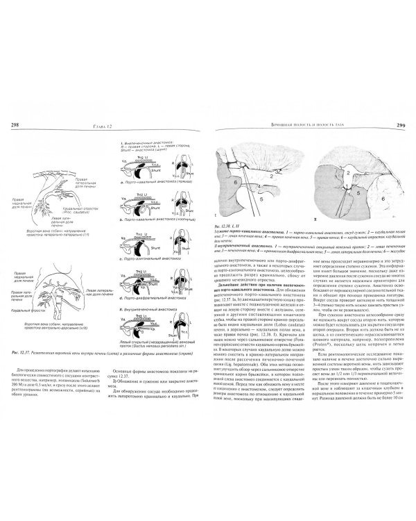 Оперативная хирургия собак и кошек
