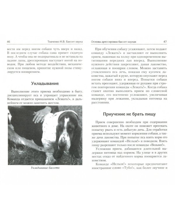 Бассет хаунд. Благородство и обаяние