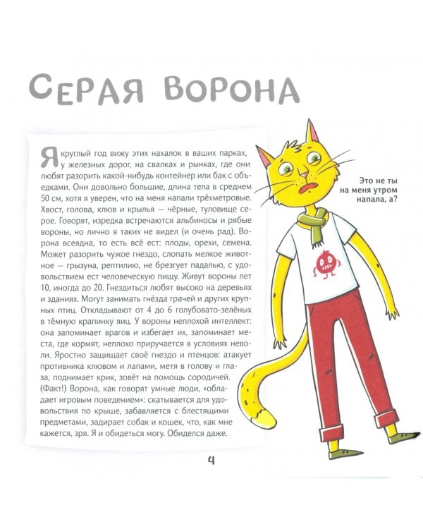 Кот Брюс и городские птички