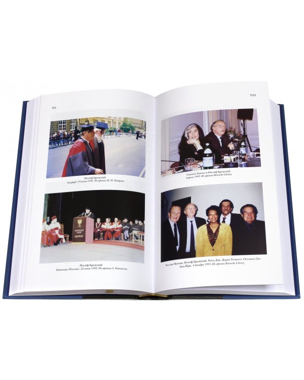 Иосиф Бродский. Опыт литературной биографии