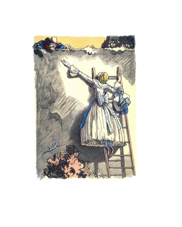 Новые уроки любви в парке