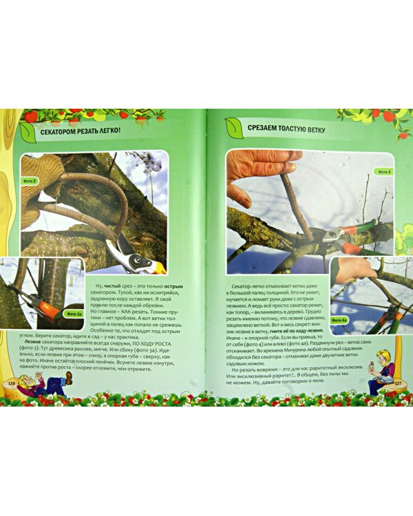 Иллюстрированная энциклопедия умного сада