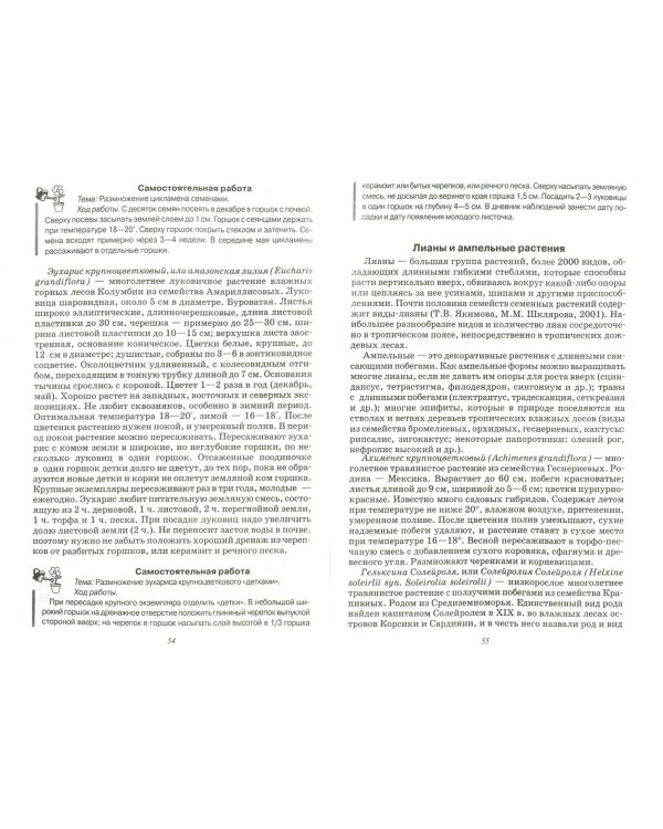 Обучение общественно полезному труду в специальных образов. учреждениях: Комнатное цветоводство