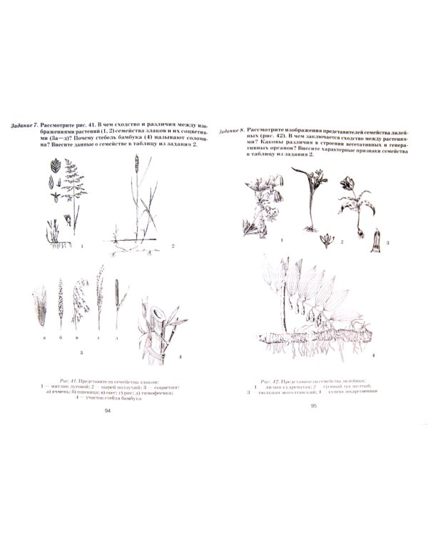 Биология. 7 класс. Растения. Бактерии. Грибы и лишайники. Практические занятия. 7 класс