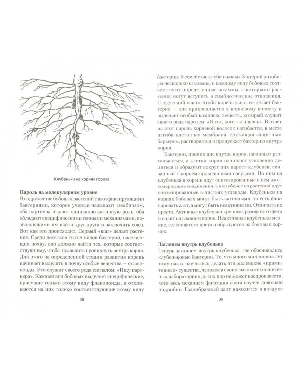 Секреты плодородной почвы