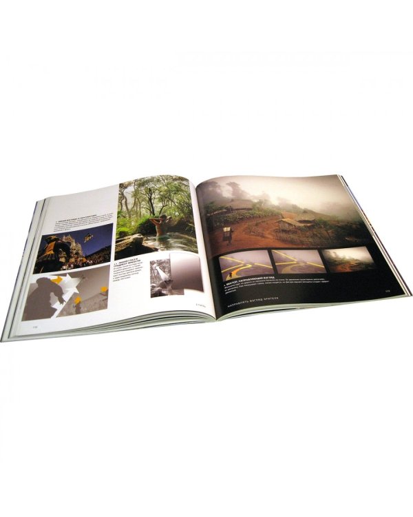 Искусство цифровой фотографии. Продвинутые приемы и техники создания удачных фотоснимков