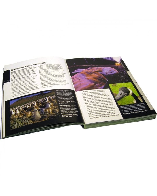 Птицы в кадре. Практическое руководство по фотоохоте на птиц